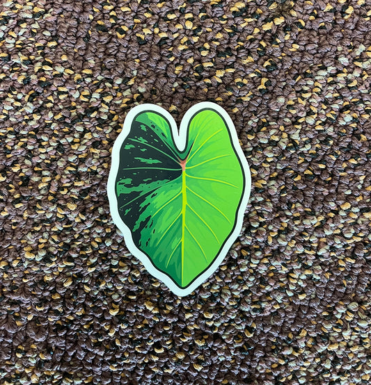 Kalo Leaf Sticker